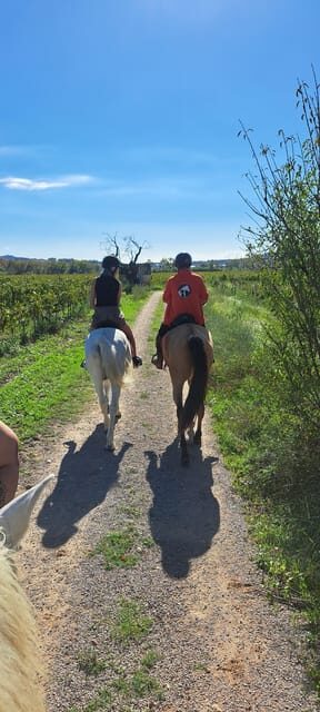 Barcelona: Penedès Vineyard Horseback Ride with Wine Tasting - An In-Depth Look at the Experience