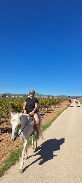 Barcelona: Penedès Vineyard Horseback Ride with Wine Tasting - The Sum Up