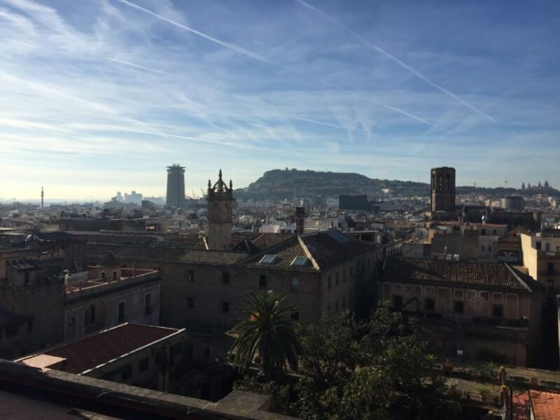 Barcelona: Private Gothic Quarter & Eixample Highlights Tour - Highlights of the Tour Experience