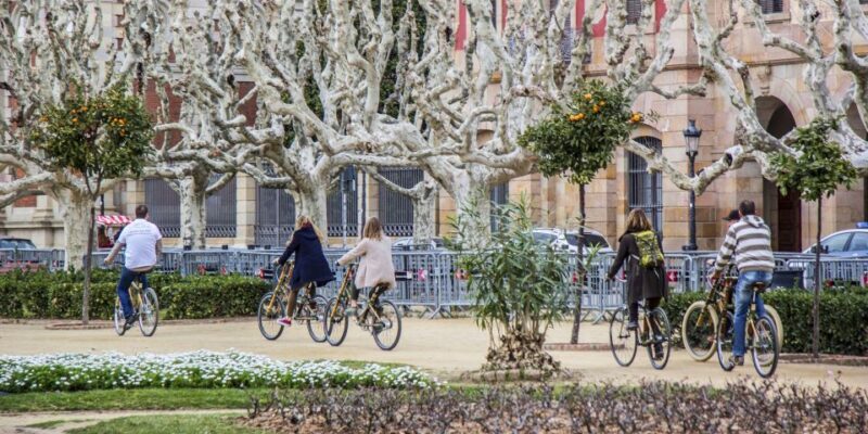 Barcelona: Private Highlights Tour by Bamboo Bicycle - An In-Depth Look at the Experience