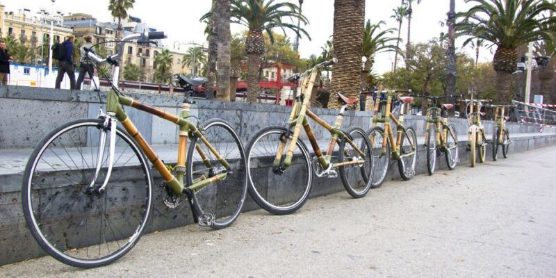 Barcelona: Private Highlights Tour by Bamboo Bicycle - Final Thoughts