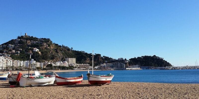 Barcelona: Private Tour Costa Brava Scuba Diving and Lunch - Who Should Consider This Experience?
