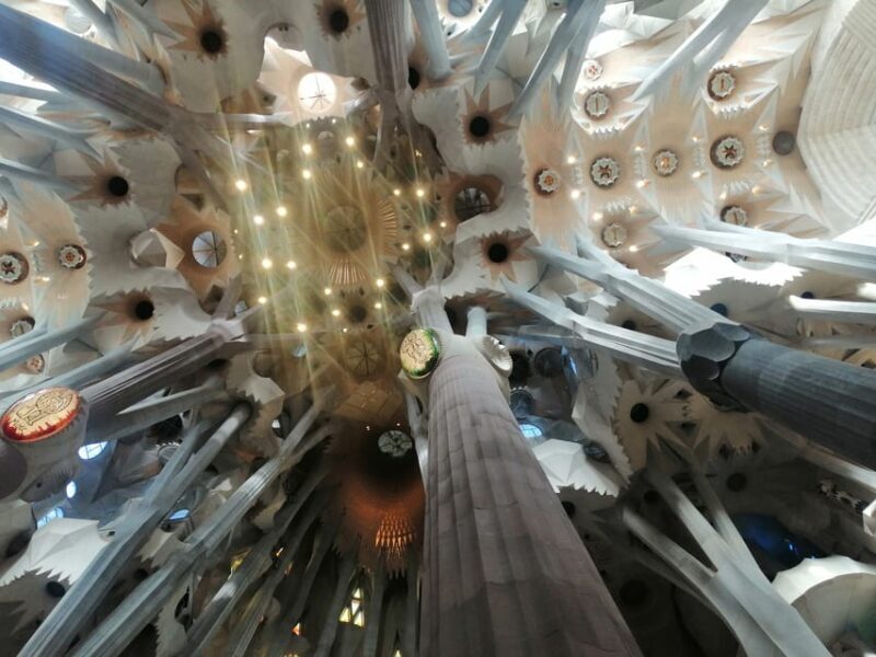 Barcelona: Sagrada Família and Park Güell Guided Tour - The Sum Up: Why Choose This Tour?