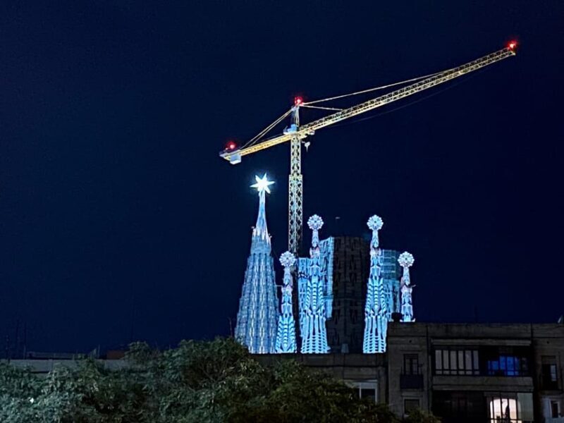 Barcelona: Sagrada Família Guided Tour and Entry Tickets - Inside the Basilica: Columns, Windows, and Atmosphere