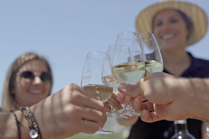 Barcelona Sailing Adventure and Small Group Winery Tasting Tour - FAQ