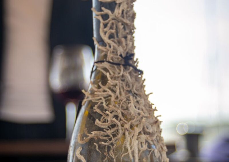 Barcelona: Submarine Winery Wine Tasting and Sailing Tour - The Sum Up