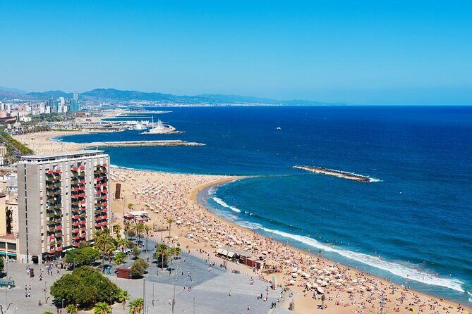 Barcelona Sunset Cruise with Light Snacks and Open Bar - Key Points