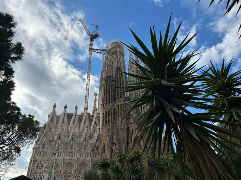 Barcelona: Top Sights by Bike Tour - Why Choose the Barcelona Top Sights by Bike Tour?