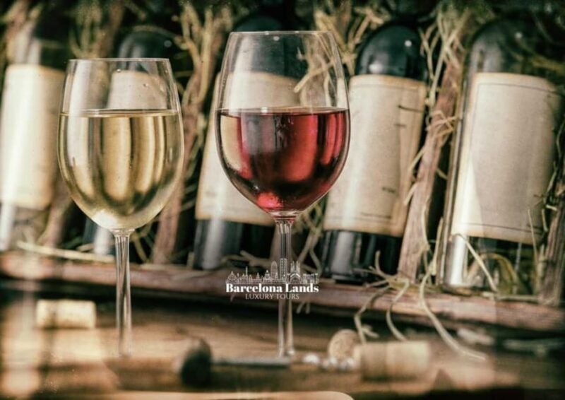 Barcelona: Tour Luxury for Priorat, Wine tasting & Lunch - Practical Tips for Travelers