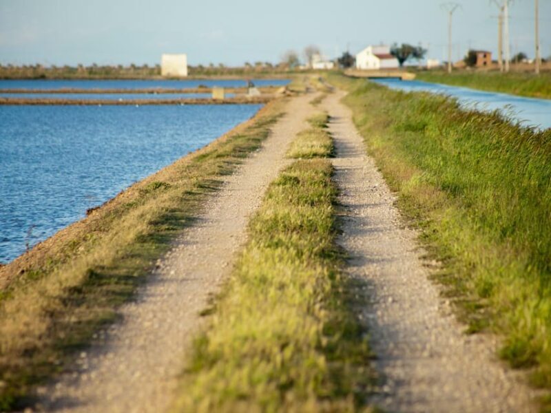 Barcelona: Tuna Baths in the Ebro Delta Route and Olive Tree Tour - A Deep Dive into the Experience