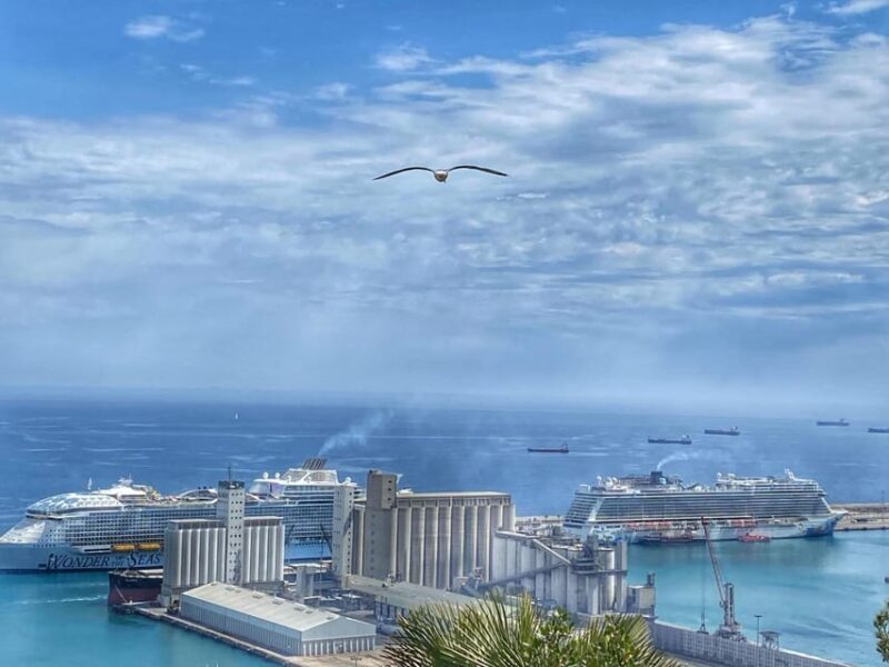 Barcelona: VIP Tailor-Made Tour with Private Guide - The Value and Who Should Book