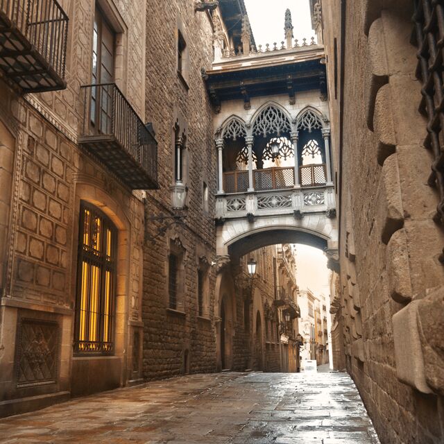 Barcelona: walking tour of the Gothic Quarter and boat ride - What’s Included and What to Keep in Mind