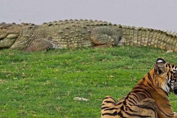 Bardia National Park Tour - The Itinerary in Detail