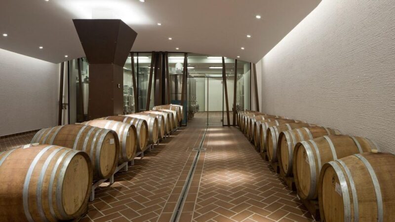 Bardolino: tasting of 6 red Valpolicella and Garda wines - Key Points