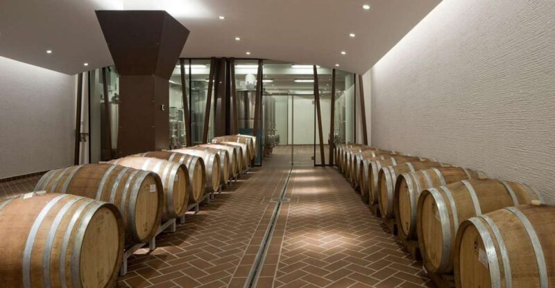 Bardolino: tasting of 6 red Valpolicella and Garda wines - The Details of the Bardolino Wine Tasting