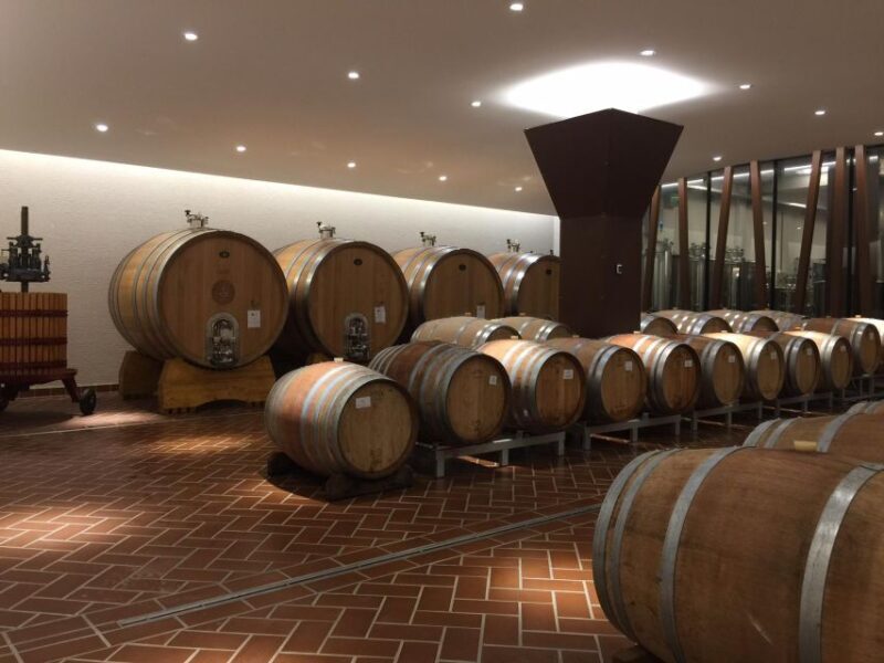 Bardolino: tasting of 6 red Valpolicella and Garda wines - Final Thoughts