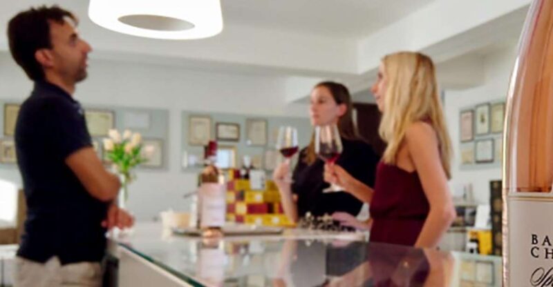 Bardolino: tasting of 6 White and Rosè wines with Lake view - An In-Depth Look at the Experience