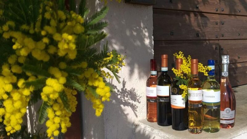 Bardolino: tasting of 6 White and Rosè wines with Lake view - FAQs