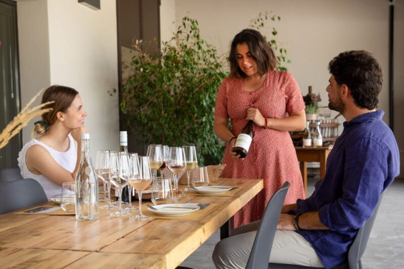 Bardolino: Vineyard Tour with Wine and Food Tasting - Key Points