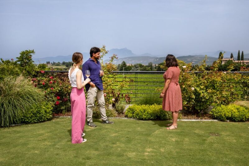 Bardolino: Vineyard Tour with Wine and Food Tasting - The Setting: A Picturesque Vineyard in Lombardy