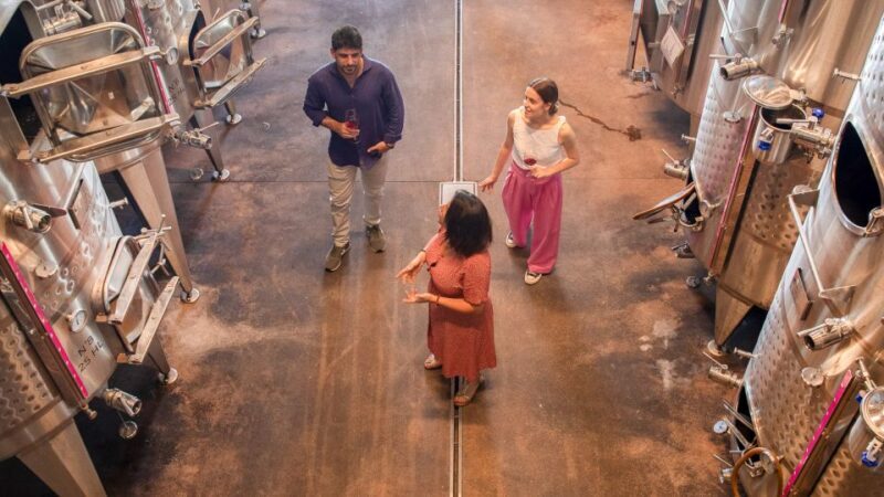 Bardolino: Vineyard Tour with Wine and Food Tasting - The Tasting: Four Wines Paired with Regional Flavors