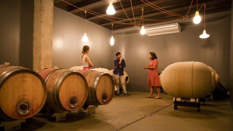 Bardolino: Vineyard Tour with Wine and Food Tasting - Practical Details and Considerations