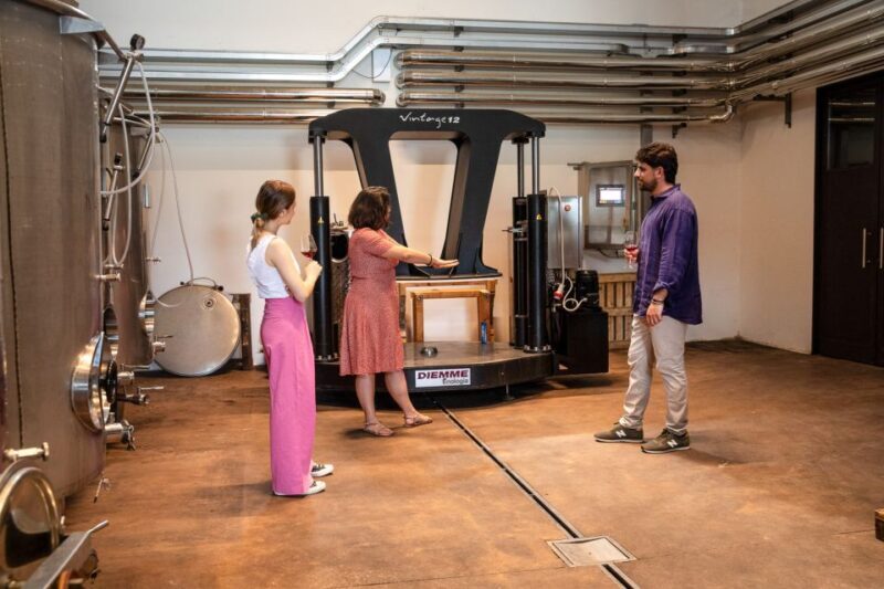 Bardolino: Vineyard Tour with Wine and Food Tasting - Who Will Love This Tour?