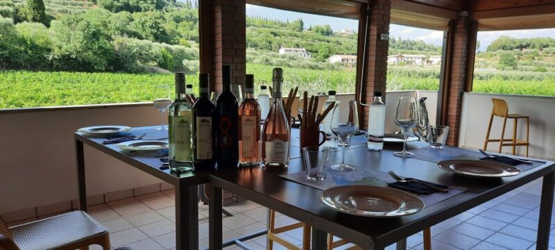 Bardolino: Vineyard Tour with Wine, Olive Oil & Food Tasting - Key Points