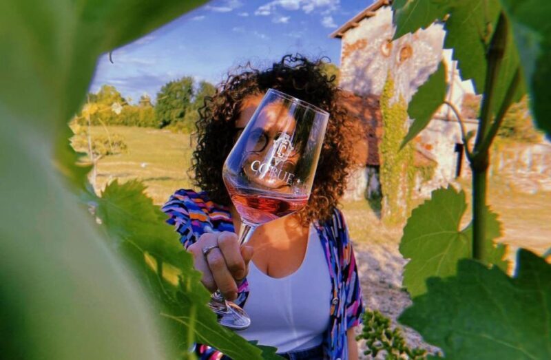 Bardolino: wine and food tasting on lake Garda Hills - Discovering Bardolino: A Wine & Food Tasting Tour in Lake Garda Hills