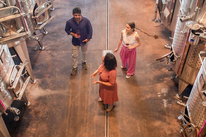 Bardolino Wine Experience - The Vineyards: An Organic Perspective