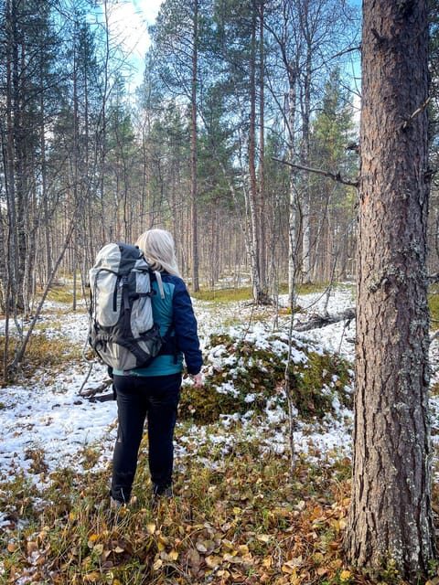 Bardufoss: Wild Moose Safari with Lunch - FAQ