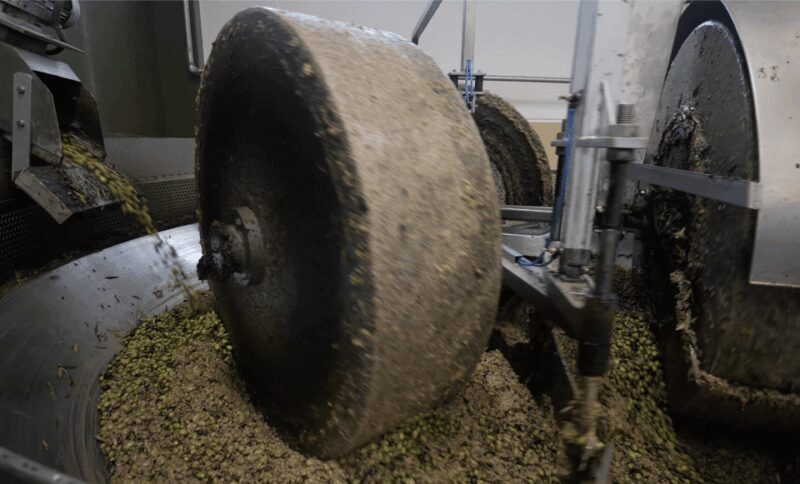 Barletta-Andria-Trani: oil mill tour and oil tasting - Exploring the Tour: From Olive Groves to Bottles