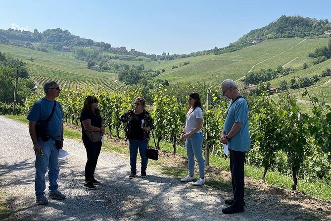 Barolo & Barbaresco Wine Tour with a Winemaker - Free Time and Lunch Options