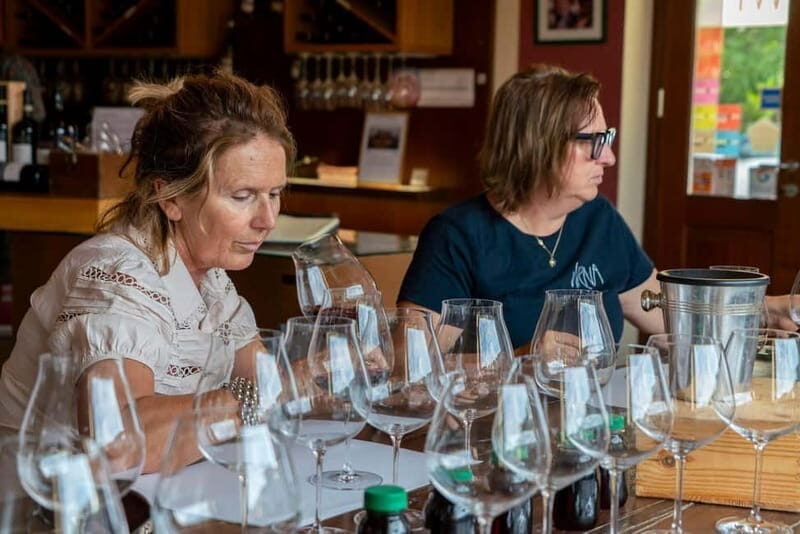 BAROLO: GUIDED VISIT TO THE WINERY AND TASTING WITH THE PRODUCER - A Close Look at the Experience