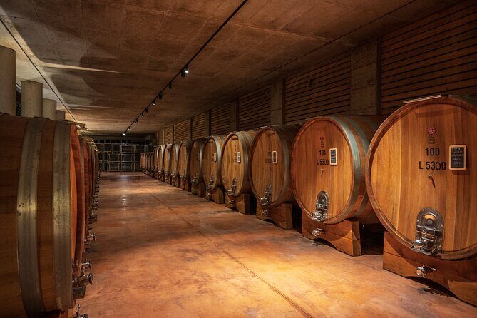 Barolo Wine Tour - A Detailed Look at the Barolo Wine Tour