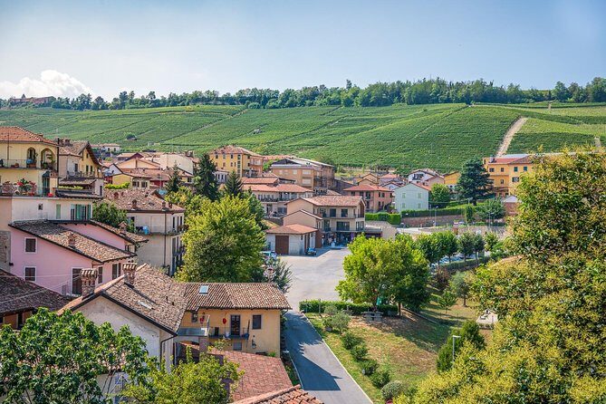 Barolo Wine Tour - Who Will Love This Tour?