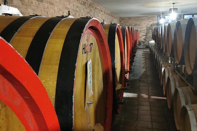 Barolo&Barbaresco wine tour with a local winemaker - Key Points