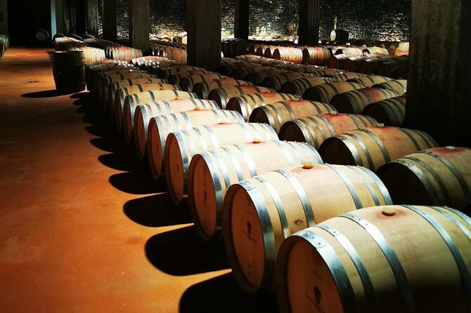 Barolo&Barbaresco wine tour with a local winemaker - Transportation & Group Size