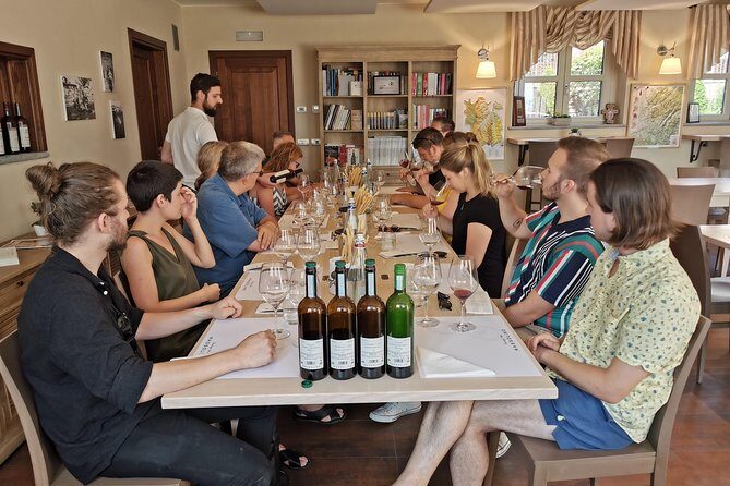 Barolo&Barbaresco wine tour with a local winemaker - Authenticity & Guides