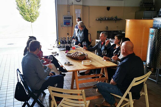 Barolo&Barbaresco wine tour with a local winemaker - The Overall Experience
