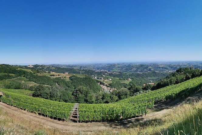 Barolo&Barbaresco wine tour with a local winemaker - The Sum Up: Who Is This Tour Best For?