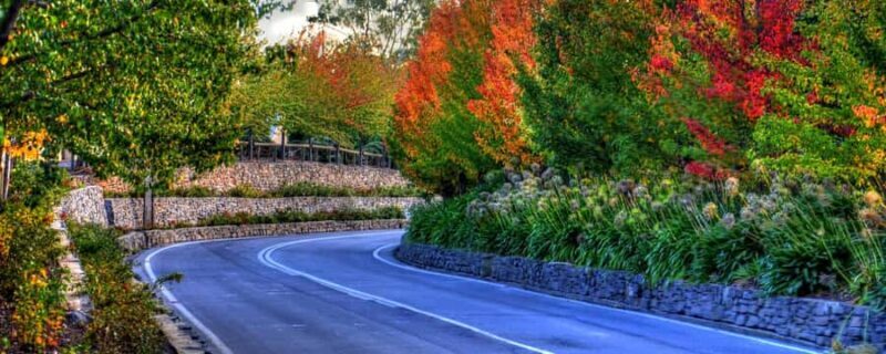 Barossa and Hahndorf Hill Tour - Who Will Love This Tour?