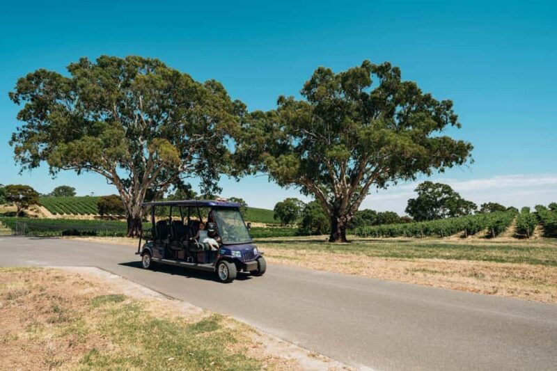 Barossa Valley: EcoVine Explorer - e-cart vineyard tour - Key Points
