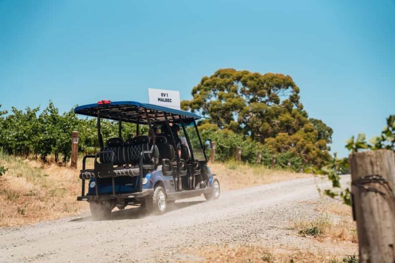 Barossa Valley: EcoVine Explorer - e-cart vineyard tour - Exploring the Vineyards and Landmarks