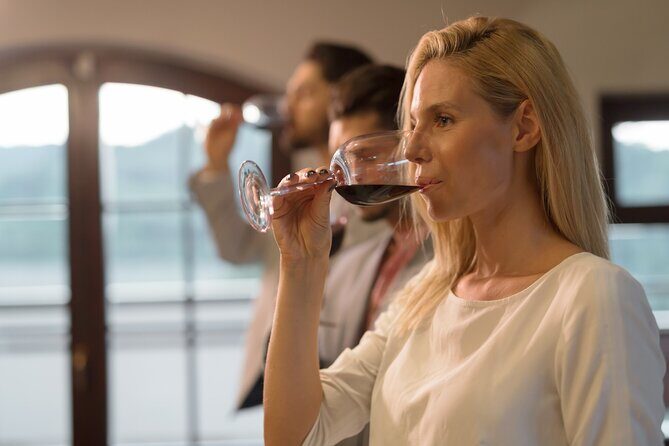 Barossa Valley Gin and Wine Tour - Practical Considerations and Traveler Tips