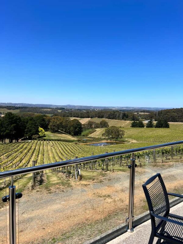 Barossa Valley Gourmet Food & Wine Tour - Authentic Experiences and Authenticity