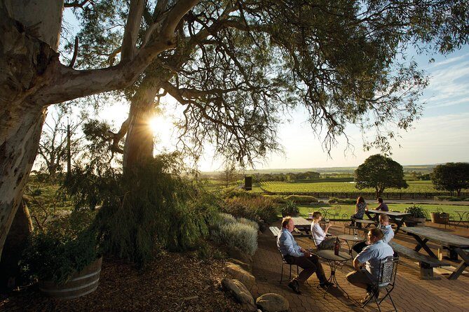 Barossa Valley Hop-On Hop-Off Wine Tour - Who Will Love This Tour?