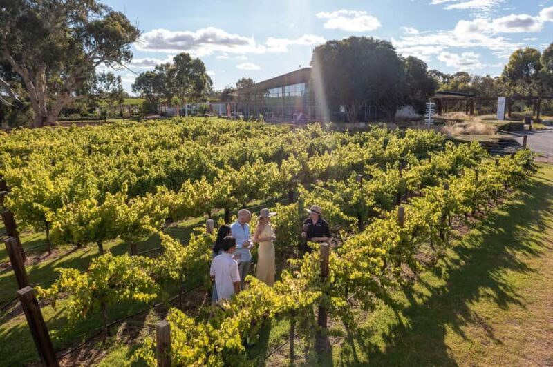 Barossa Valley: Jacob's Creek Perfect Picnic - The Itinerary in Detail