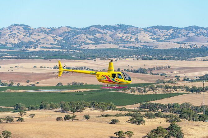 Barossa Valley Scenic Helicopter Flight & Private Wine Tour - What Does the Price Reflect?