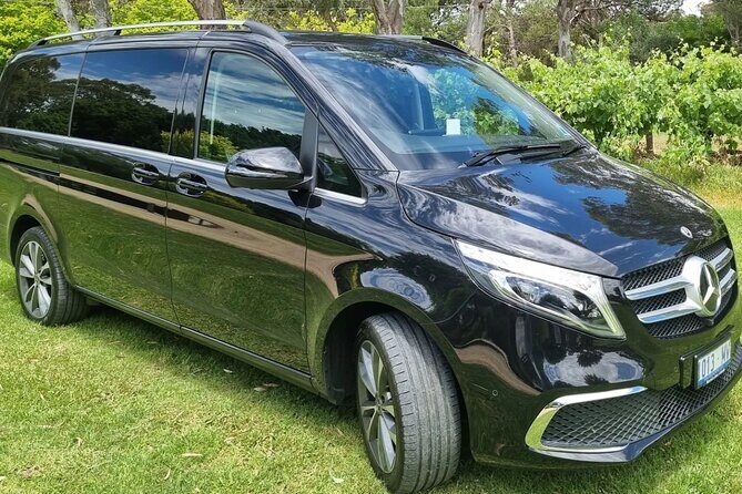 Barossa Valley Shared Tour with Wine Tasting and Lunch - A Deep Dive into the Tour Experience